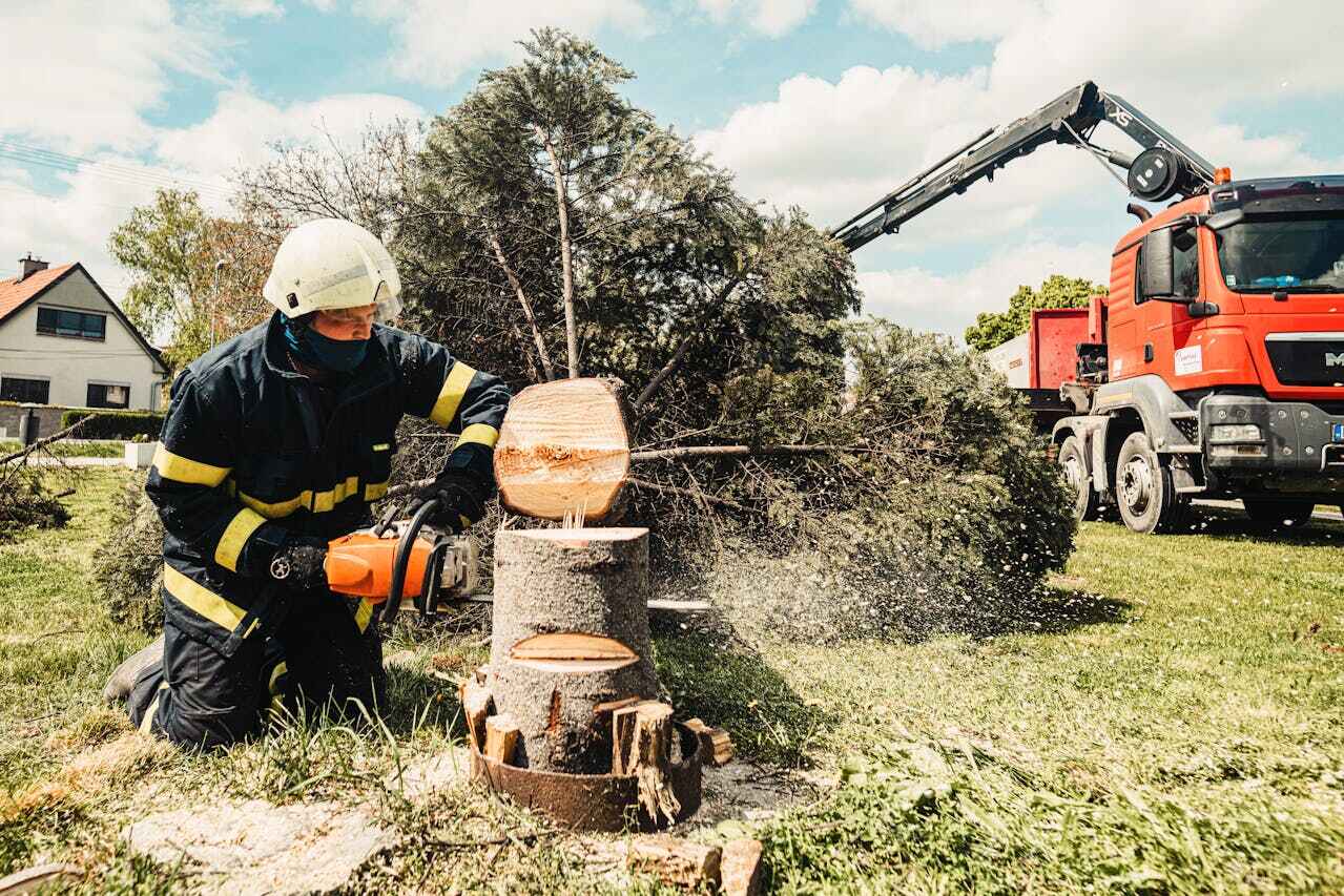 TreeGuard Tree Service